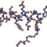 How Long Do You Spend On Semaglutide For Weight Loss?